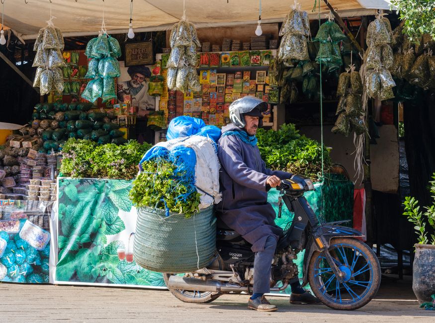 Morocco Agricultural Trade Regulations & Documentation Guide