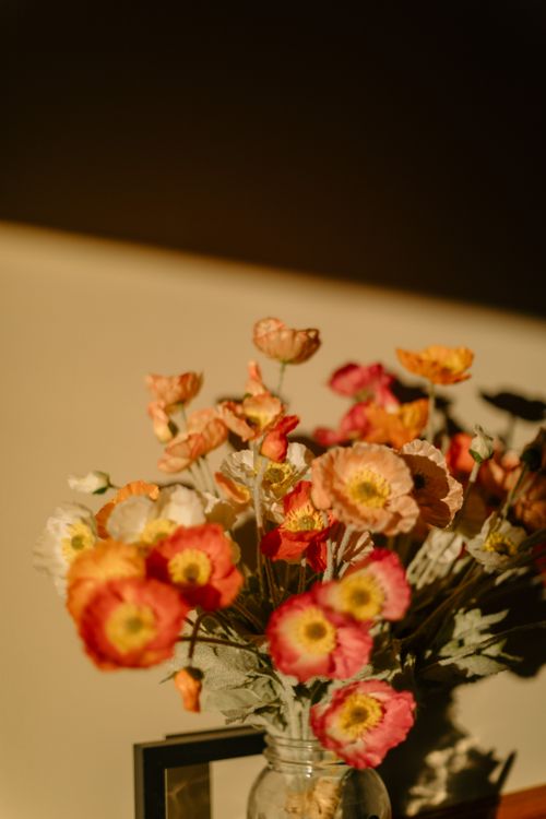 Free Bright poppies in a vase basking in warm afternoon sunlight, creating a pastel ambiance. Stock Photo