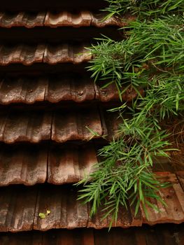 Rustic roof tiles with lush green bamboo leaves creating a natural contrast.