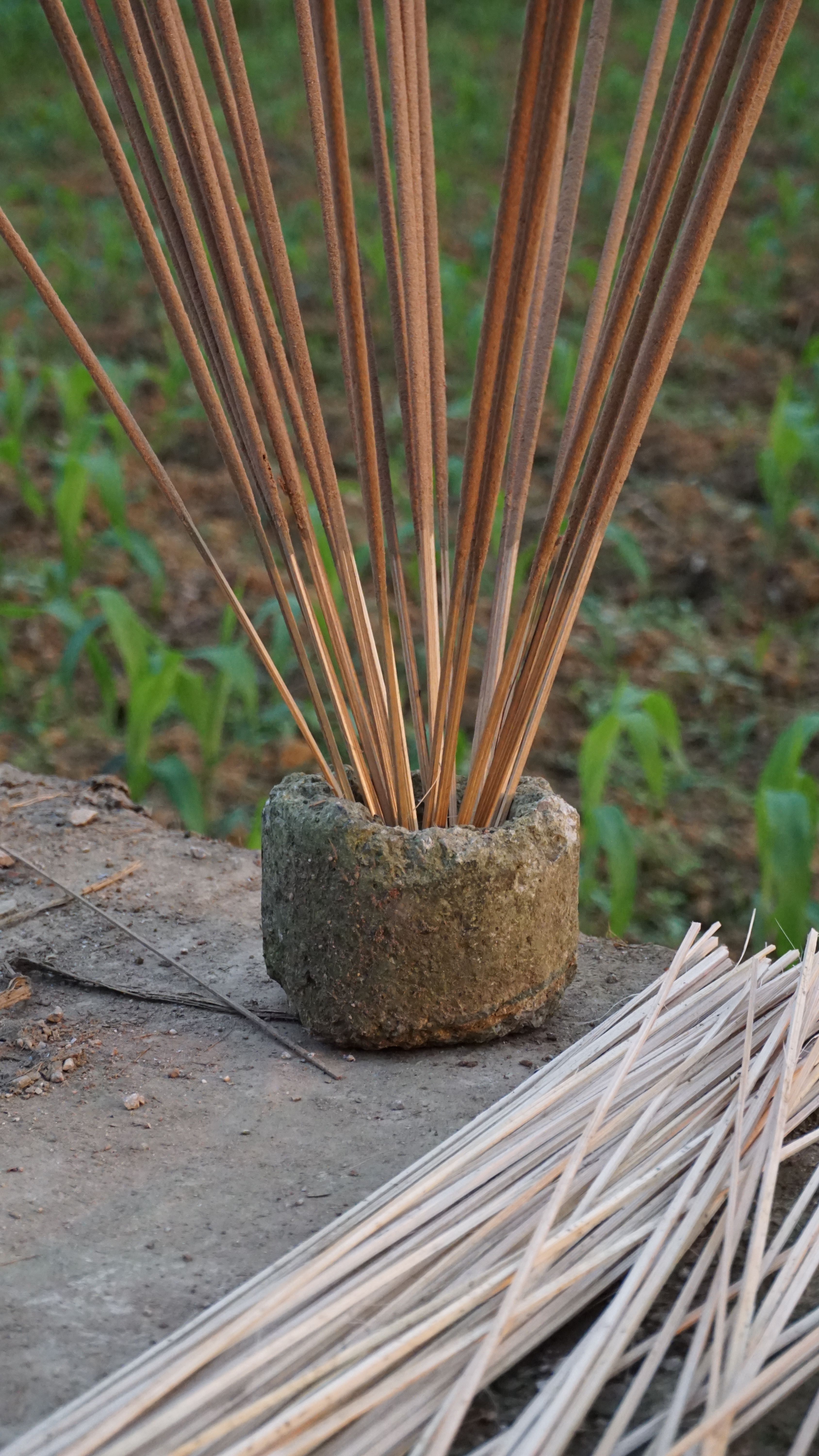 Close-up of incense sticks drying outdoors in Quảng Uyên, Vietnam.