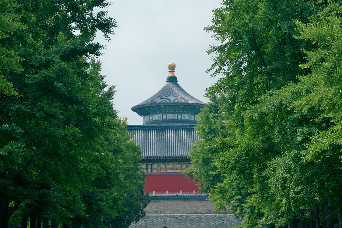 Pathway lined with trees leading toward the Temple of Heaven complex in Beijing
