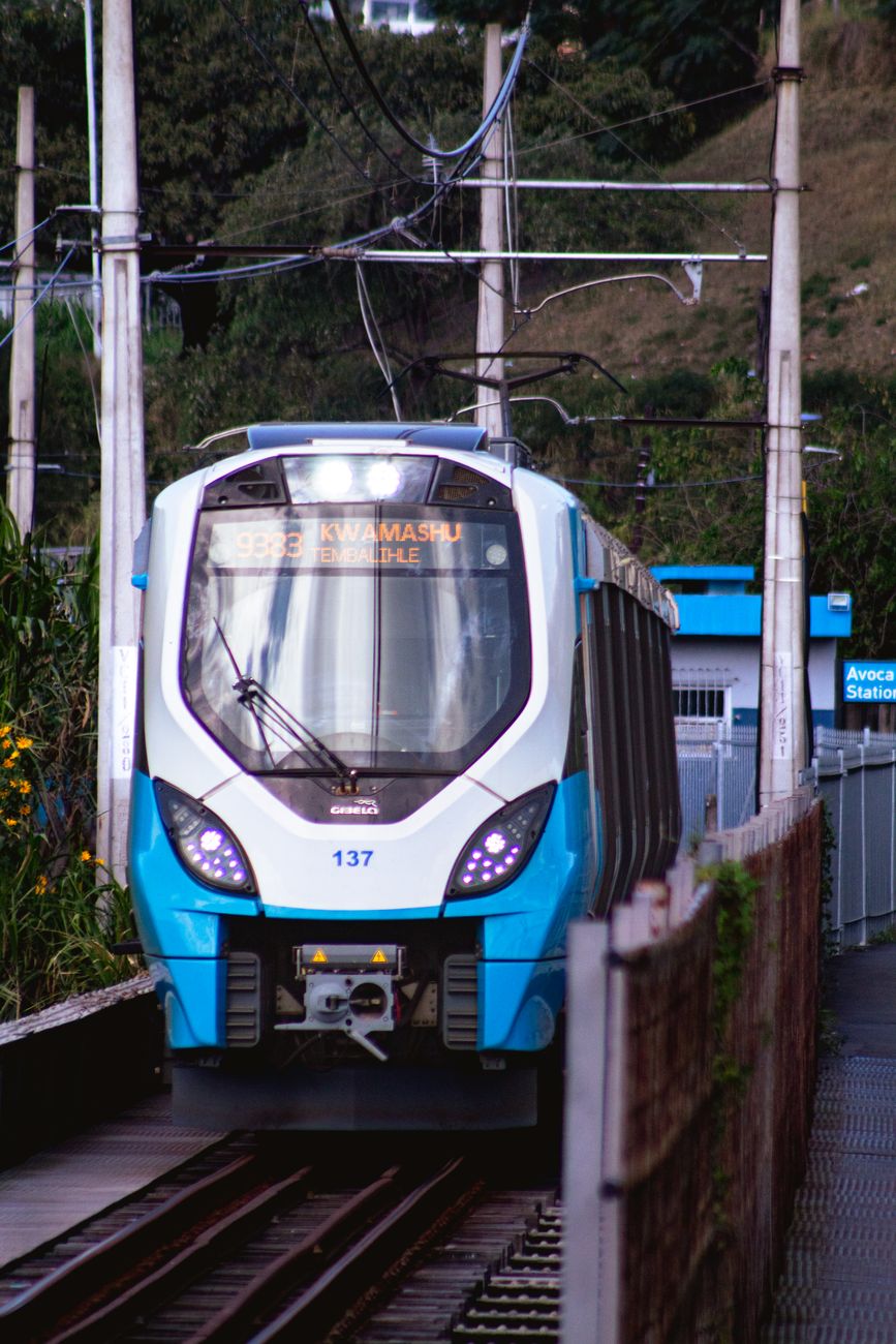 Photo by Brandon Haupt A sleek blue and white electric train arriving at Avoca station surrounded by nature.