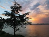 Captivating sunset view in İstanbul with silhouette tree and vibrant sky.