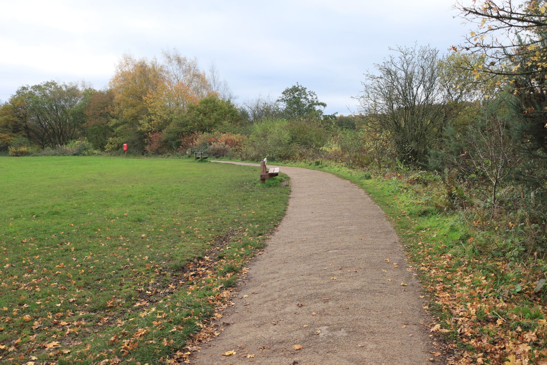 Basingstoke in Autumn: Countryside Walks and Historic Town