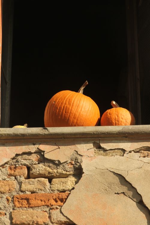 Free Two pumpkins on a rustic windowsill with an aged brick background, evoking a warm, autumnal feel. Stock Photo