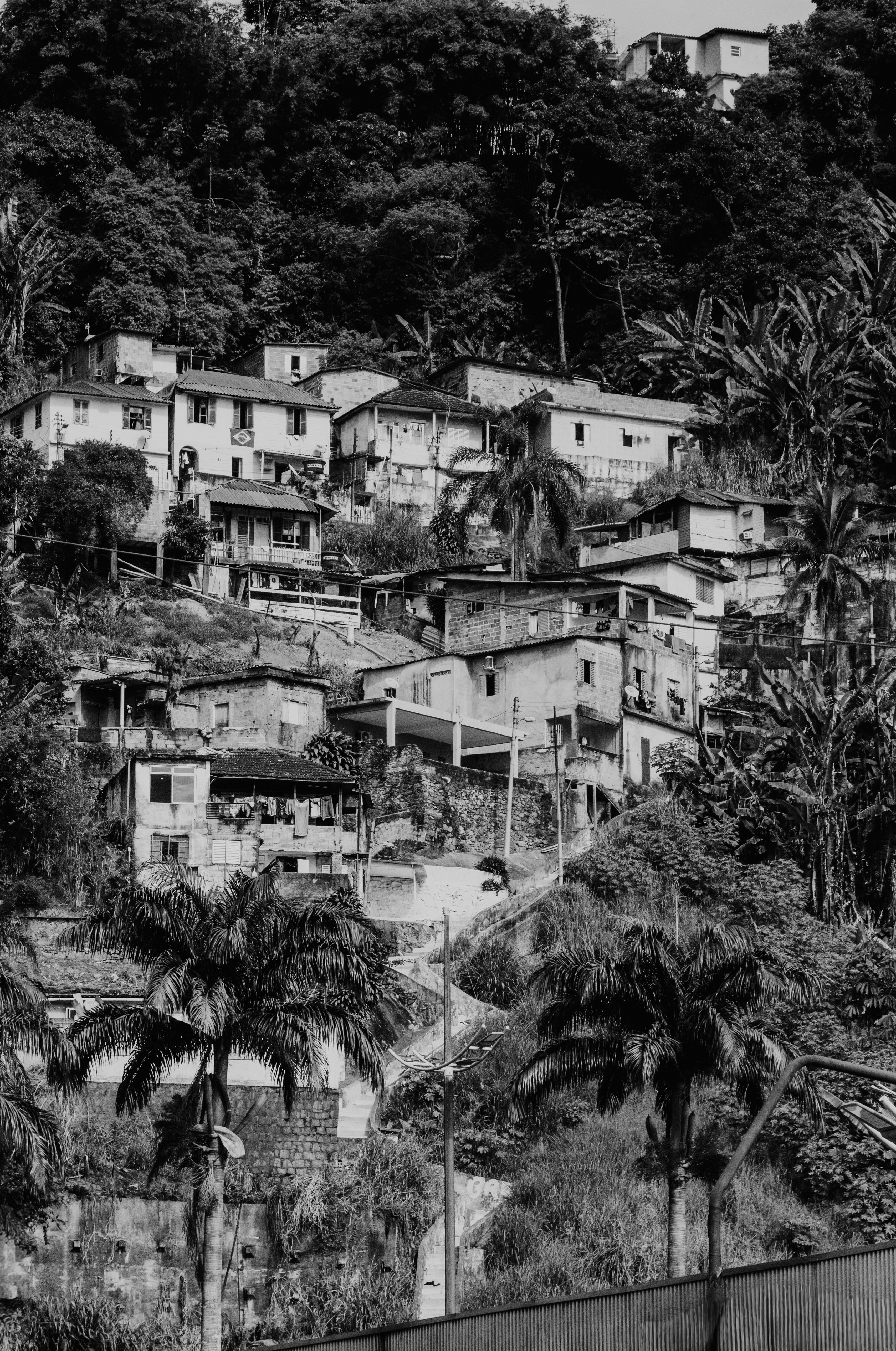 Black and white view of houses nestled on a lush, wooded hilltop, showcasing residential architecture.