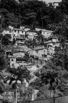 Black and white view of houses nestled on a lush, wooded hilltop, showcasing residential architecture.