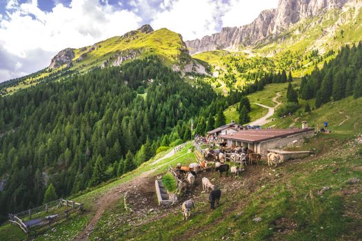 Scenic view of a mountain farm with cattle grazing amidst lush greenery and towering peaks.