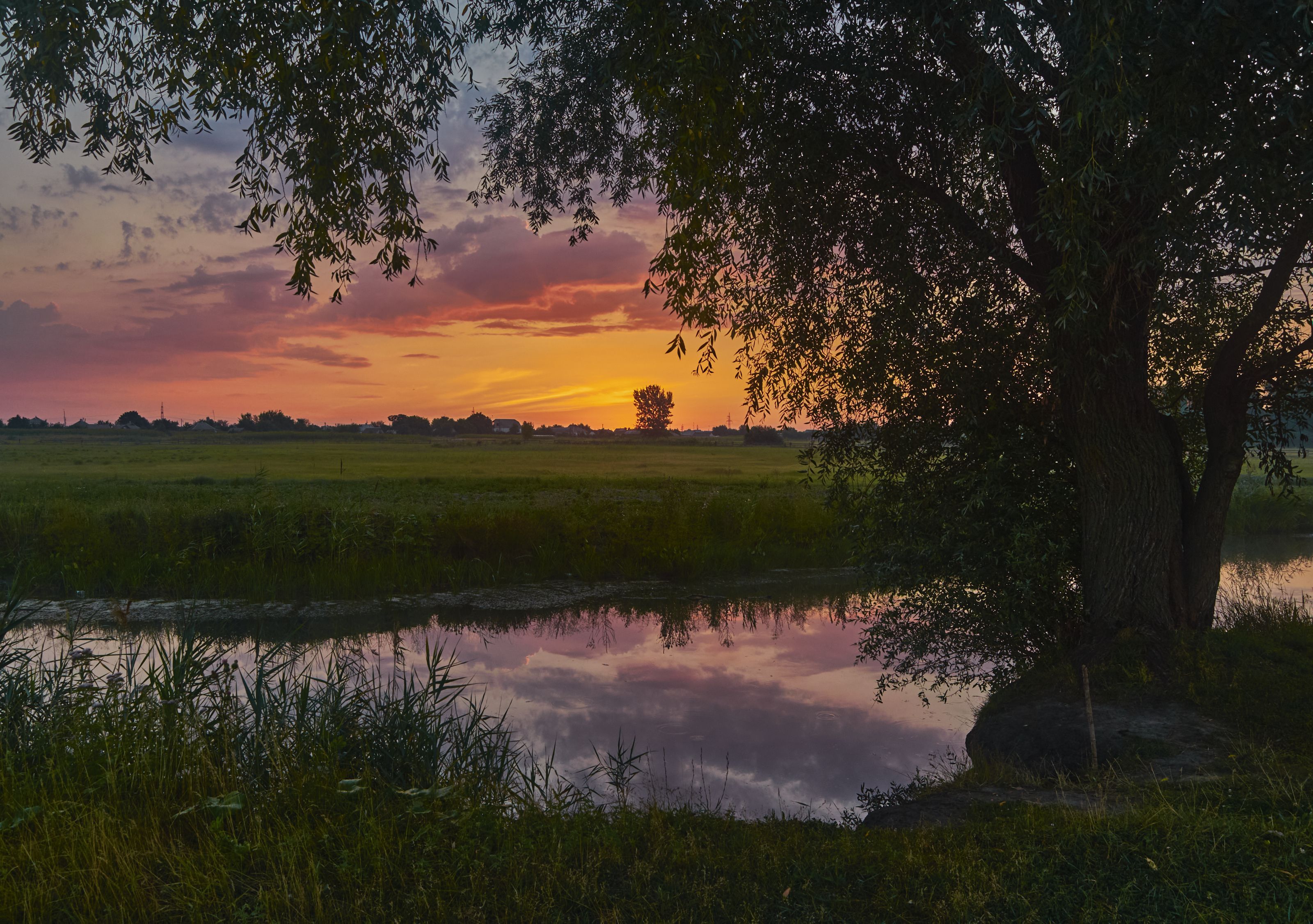 A tranquil scene of a vibrant summer sunset over a lush meadow and a reflective pond.