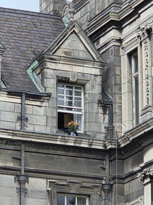 Free A close-up of a historic building facade in Dublin featuring a window with flowers. Stock Photo