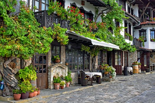 Picturesque stone houses with lush greenery in Veliko Tarnovo, Bulgaria.