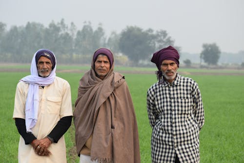 Δωρεάν στοκ φωτογραφιών με αγρότες, άνδρες, Άνθρωποι