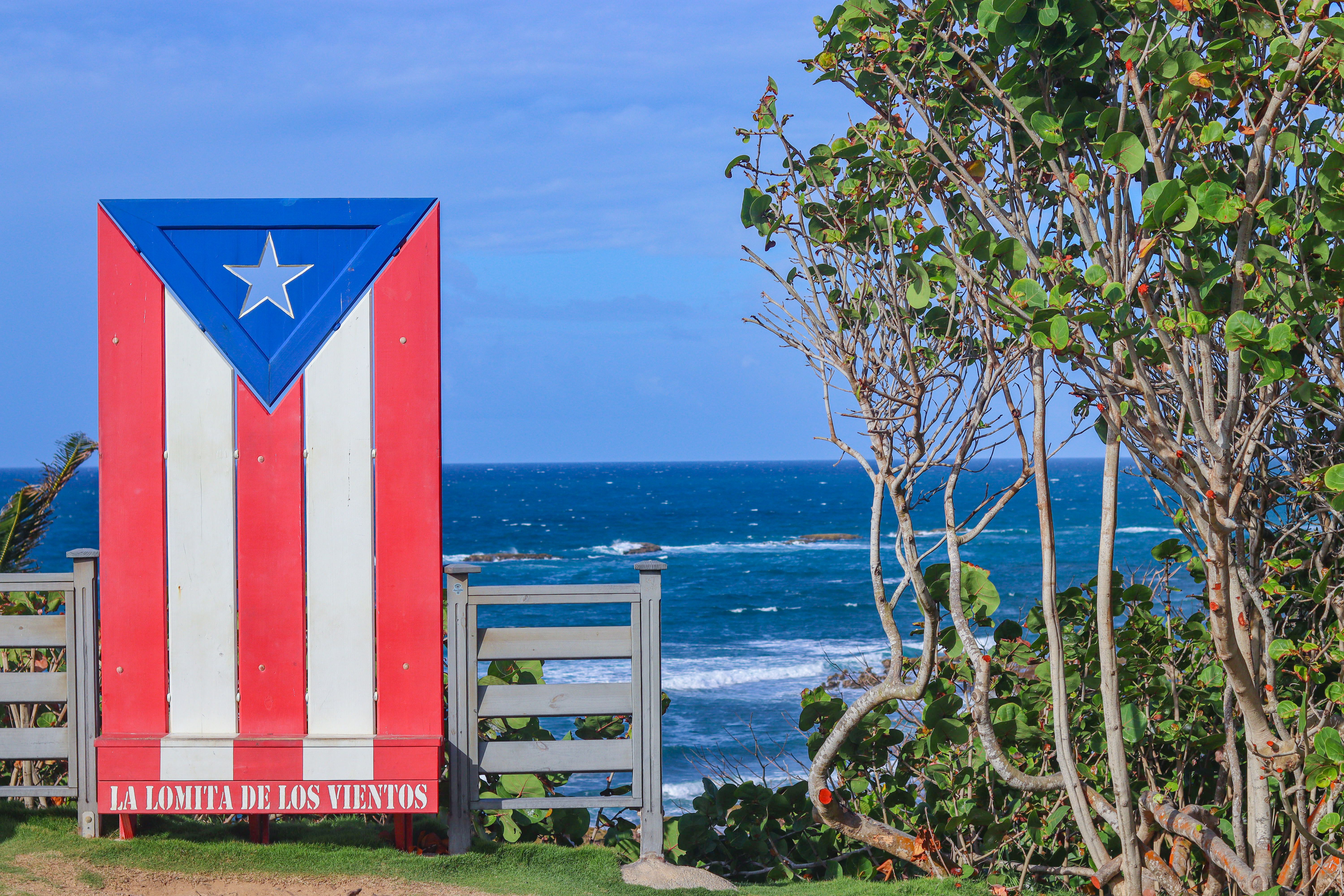 Puerto Rico Travel Revolution: 787 Coffee Ignites Global Buzz After Top 100 Specialty Coffee Shop Recognition Sparks Farm-to-
