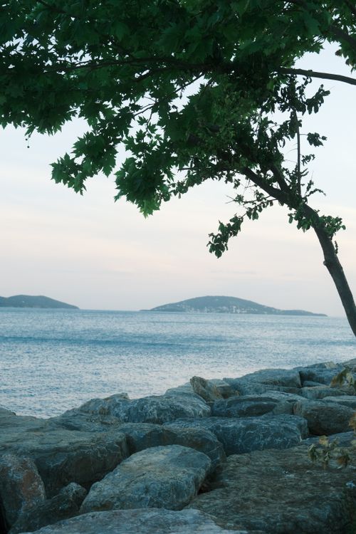 Free Serene coastal scene with a tree, rocky shore, and blue ocean under a calm sky. Ideal for relaxation themes. Stock Photo