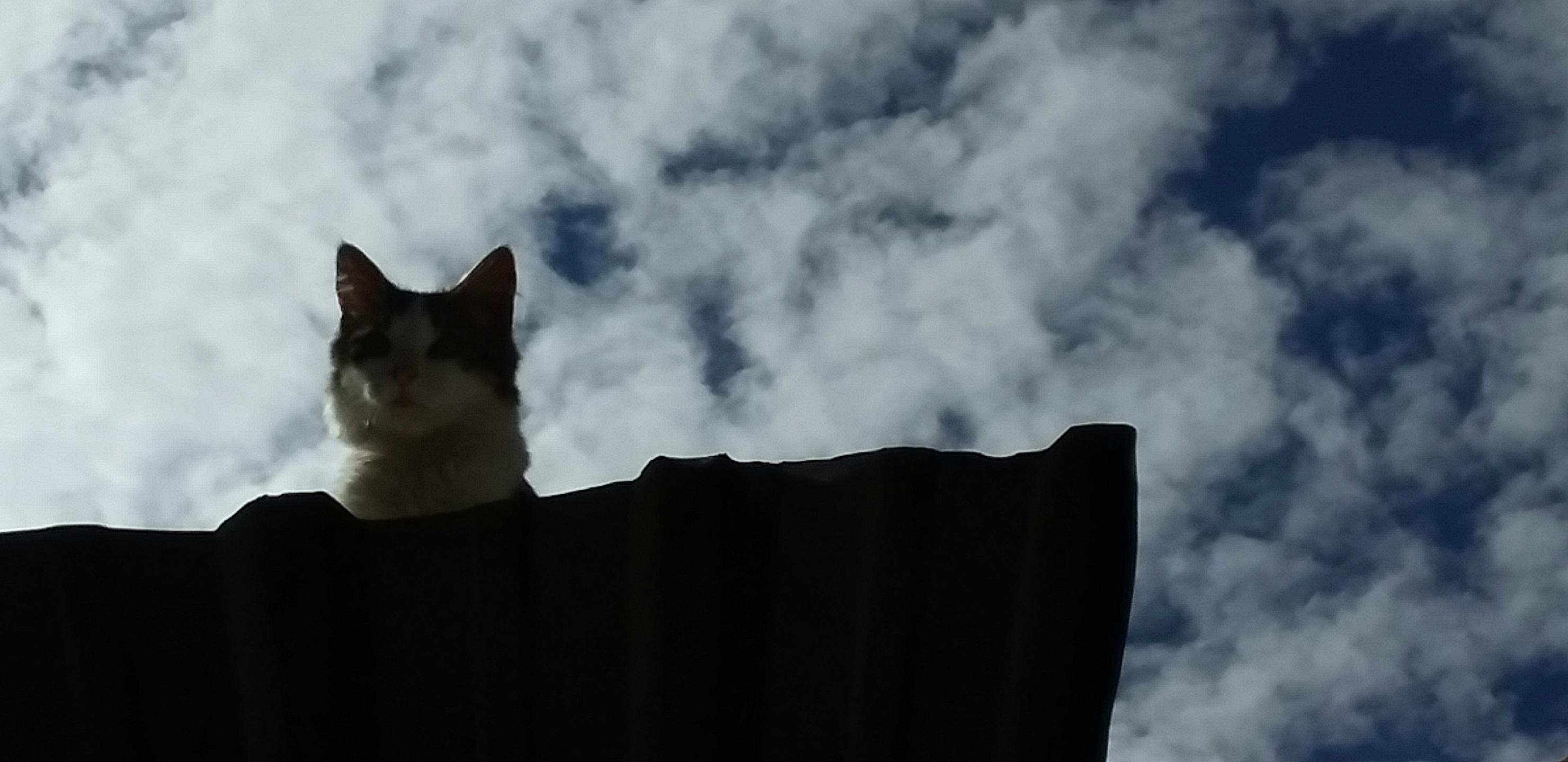 Gebelikte ve Emzirme Döneminde Beslenme: Anne ve Bebek Sağlığı İçin İpuçları