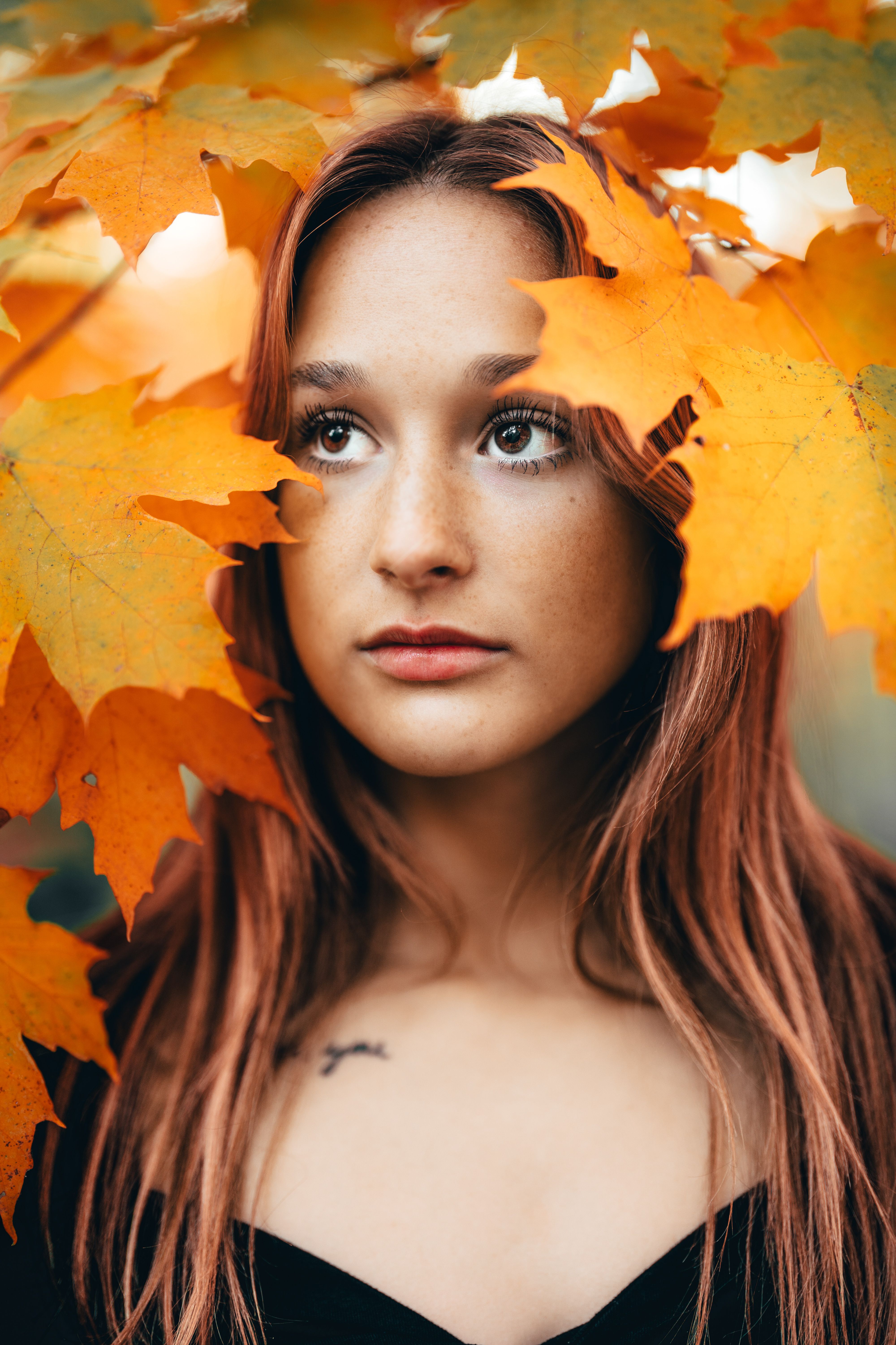 Woman Holding Brown Leaves in Front of Face · Free Stock Photo