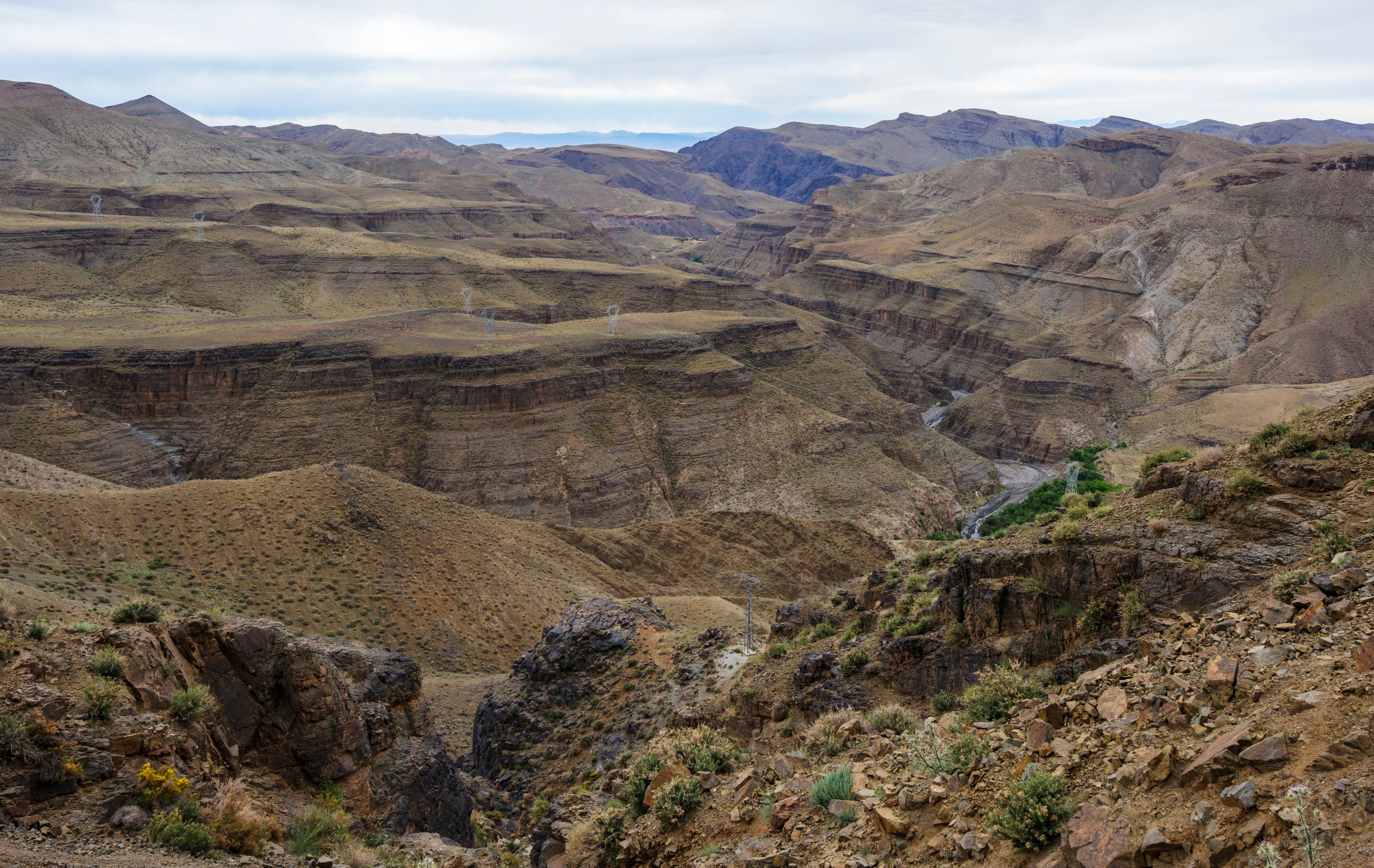Panoramic view of a vast desert canyon with rugged terrain and scattered vegetation.