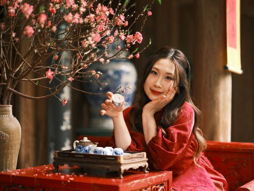 Free A woman in traditional attire holding a jar with tea set and peach blossoms during Tet festival in Vietnam. Stock Photo