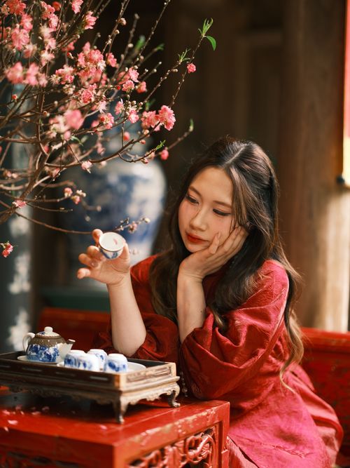 Free A woman in traditional clothing enjoys a tea ceremony under cherry blossoms in Vietnam. Stock Photo