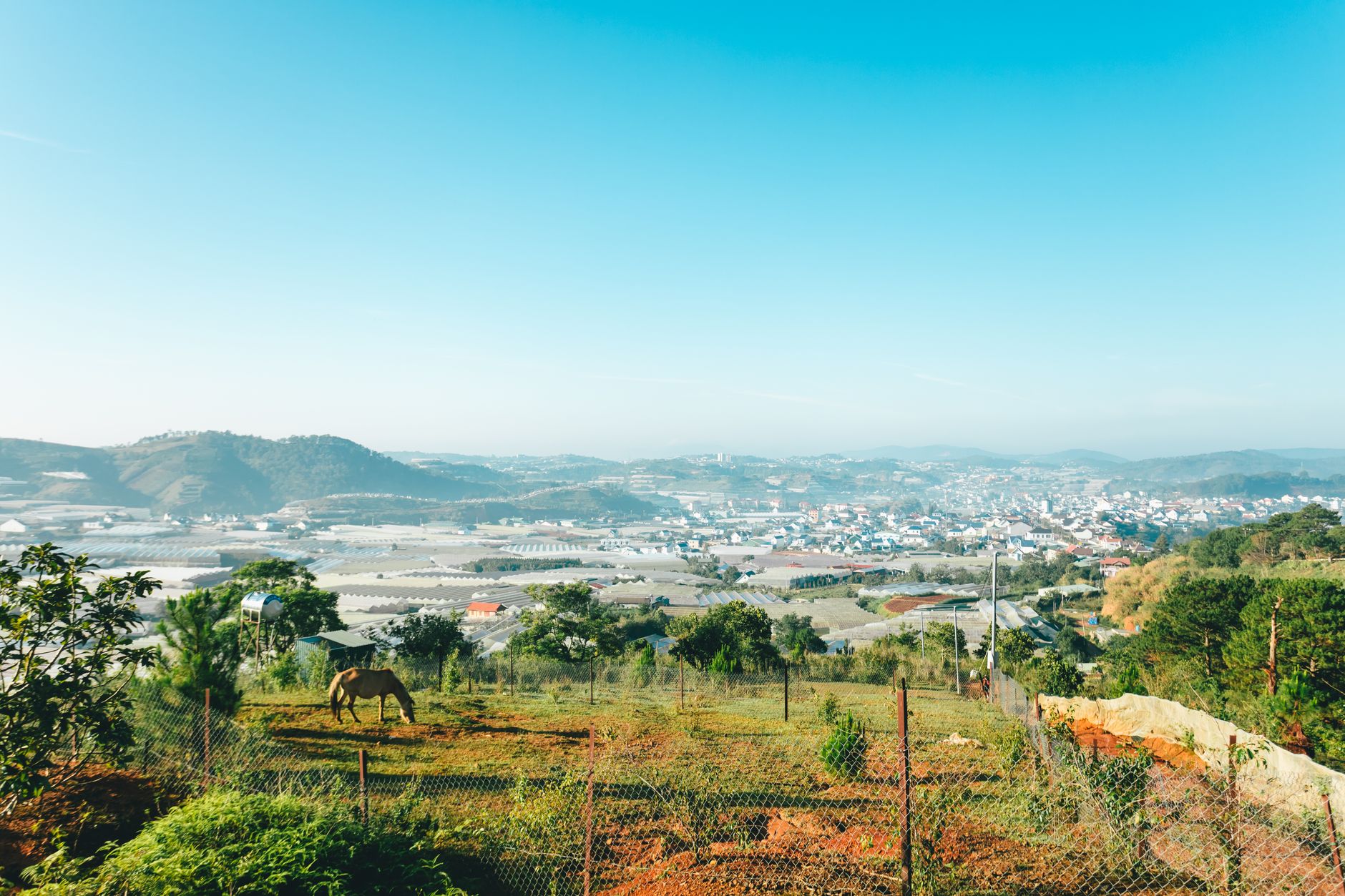 Explore the scenic beauty of Lang Biang with lush greenery and expansive views over Đà Lạt, Việt Nam.