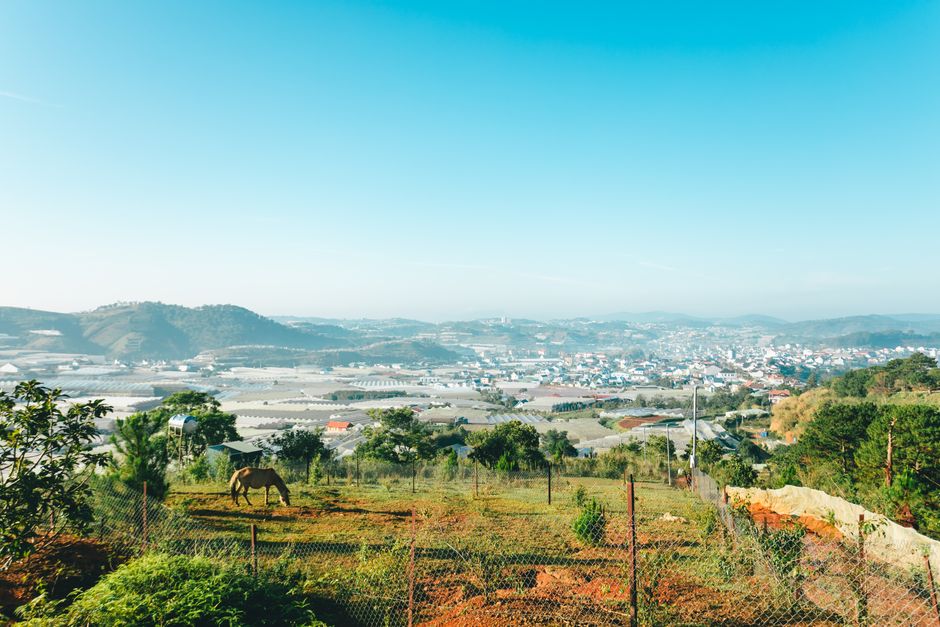Explore the scenic beauty of Lang Biang with lush greenery and expansive views over Đà Lạt, Việt Nam.