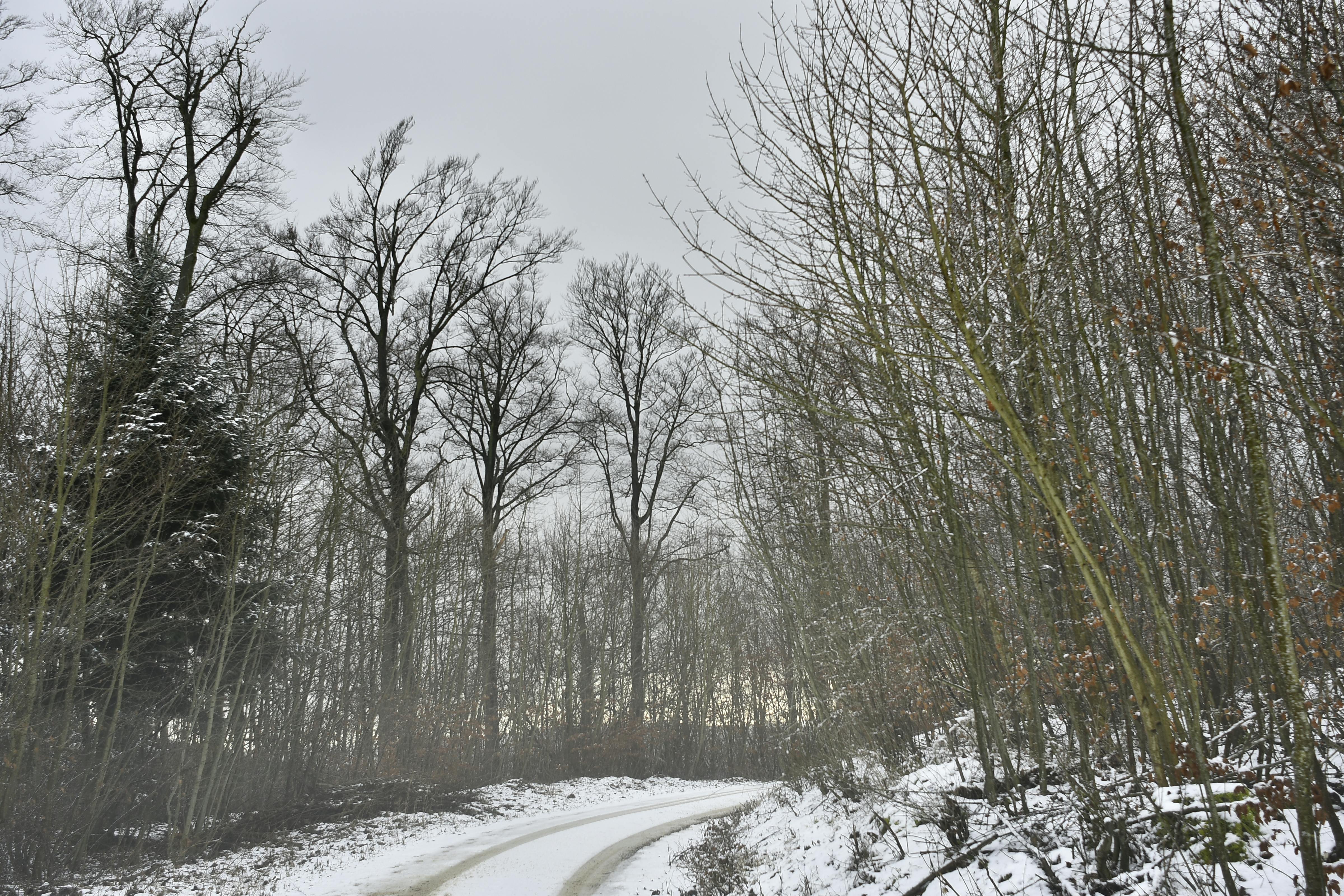 Malerischer Blick auf den Fluss Ljubljanica und die Gebäude in Ljubljana