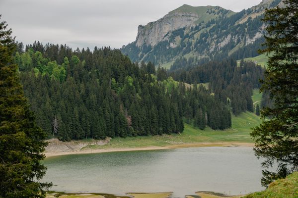 Forest Lake Switzerland jigsaw puzzle