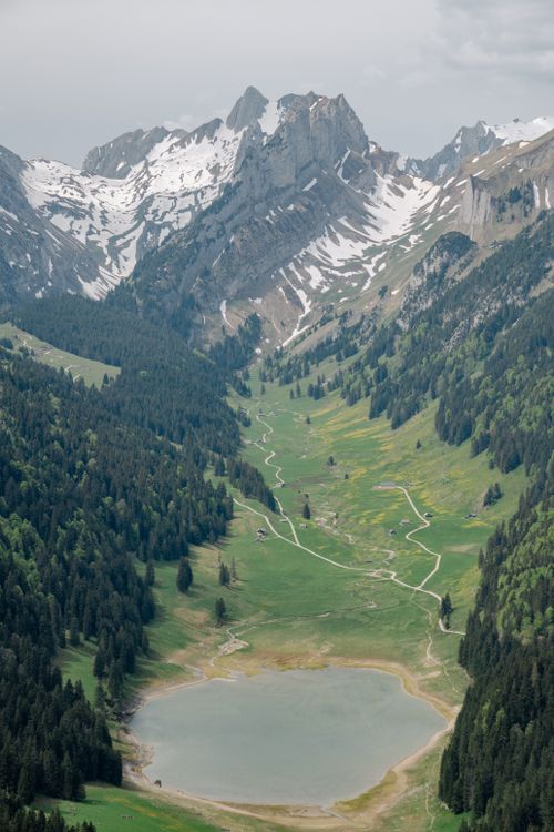 De franc Una capturadora fotografia aèria d'una exuberant vall suïssa amb muntanyes nevades i un llac serè. Foto d'estoc