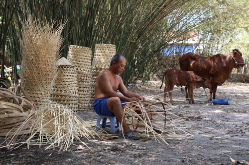 Free A man weaving baskets outdoors in a rural area with cattle nearby. Stock Photo