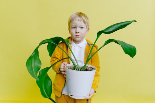 Jeune Garçon En Veste Tenant Un Pot De Fleur Blanc