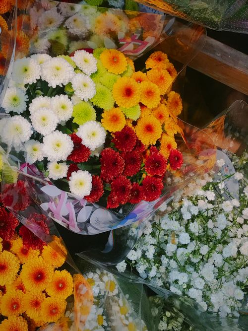 Free Vibrant chrysanthemum bouquets displayed at a flower market in Da Nang, Vietnam. Stock Photo