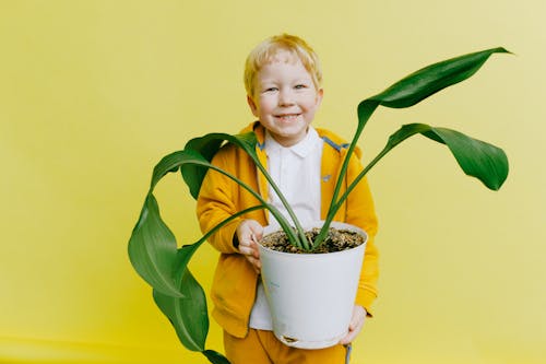 Free Boy in Yellow Jacket and White Shirt Holding Green Plant in pot Stock Photo