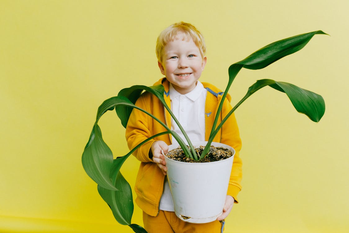 Boy in Yellow Jacket and White Shirt Holding Green Plant in pot