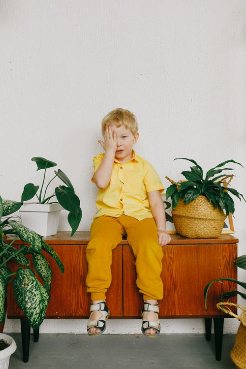 Free A young blond boy in yellow clothes playfully covers his face while sitting indoors surrounded by plants. Stock Photo