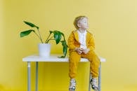 一个穿着黄色运动服的金发男孩坐在桌旁，旁边有一棵盆栽植物