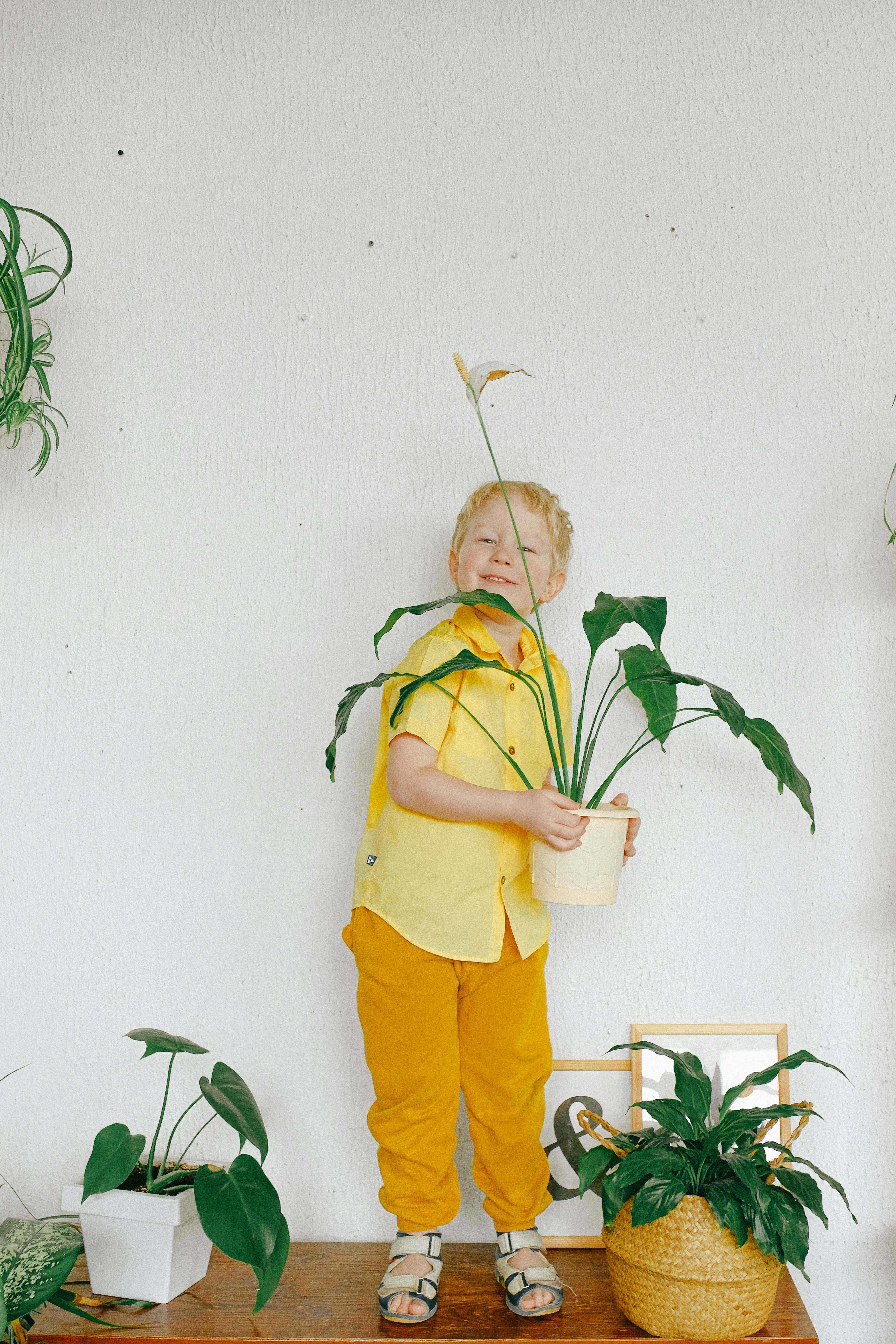 Joyful child with blond hair holding a potted plant indoors, surrounded by greenery.