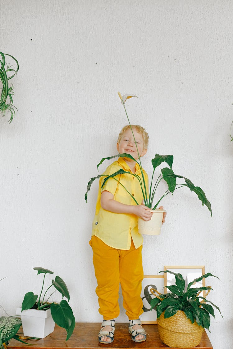 Boy Holding Green Potted Plant