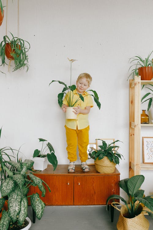 Niño De Camisa Amarilla Sosteniendo Una Planta En Maceta Junto A Plantas Verdes