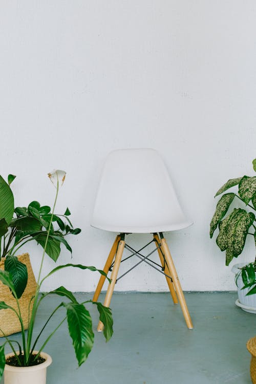 Free Potted Plants Beside White and Brown Folding Chair Stock Photo