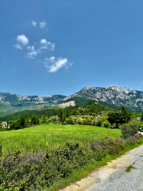 Free Breathtaking view of lush greenery with mountains and blue sky, perfect for nature enthusiasts. Stock Photo