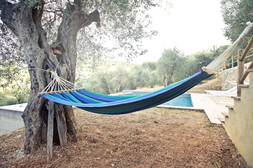 Free Colorful hammock placed between tree and stairs near swimming pool on sunny summer day Stock Photo