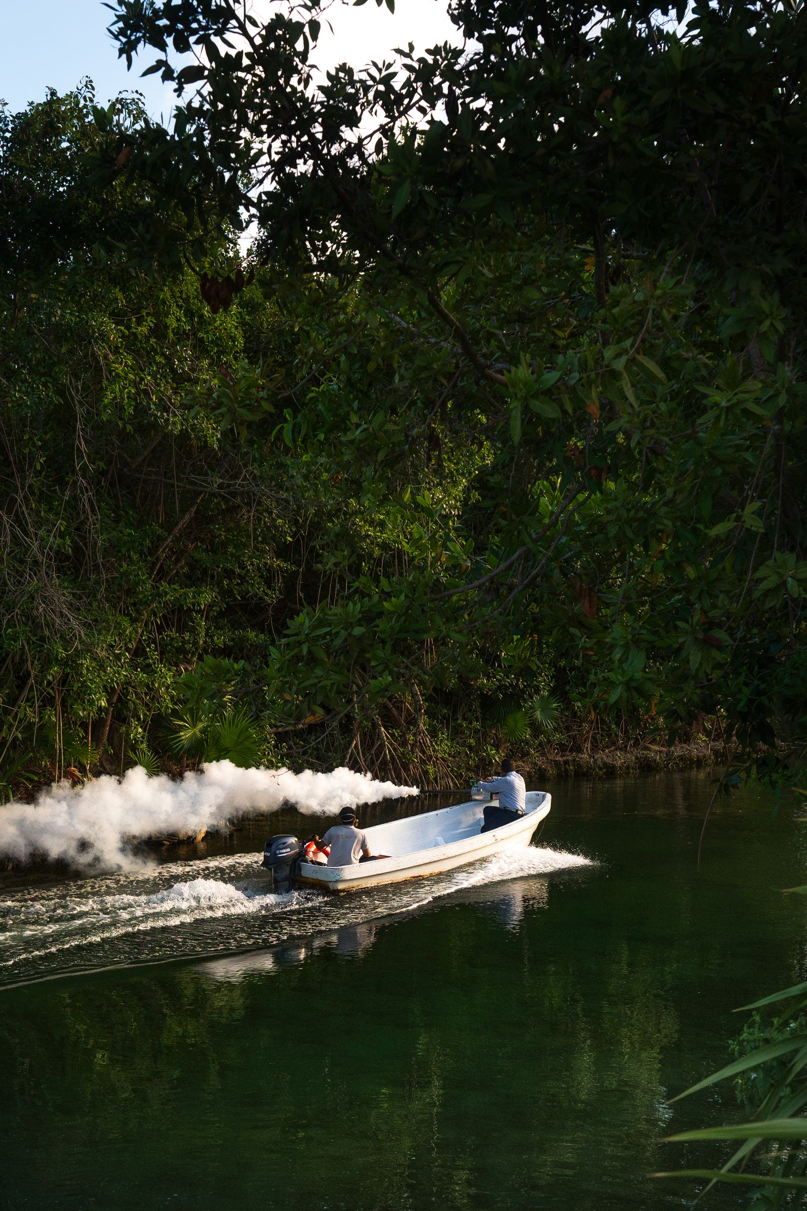 A speedboat cruising through the mangrove channels of Sian Ka'an, Mexico
