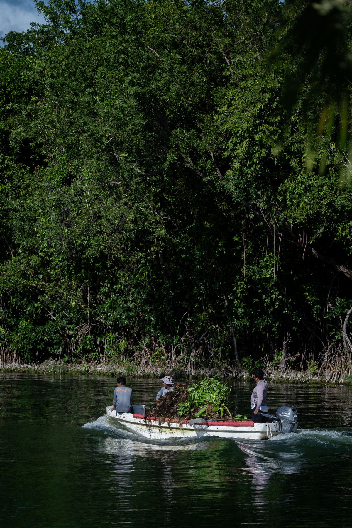 A small boat navigating the mangrove channels of Sian Ka'an