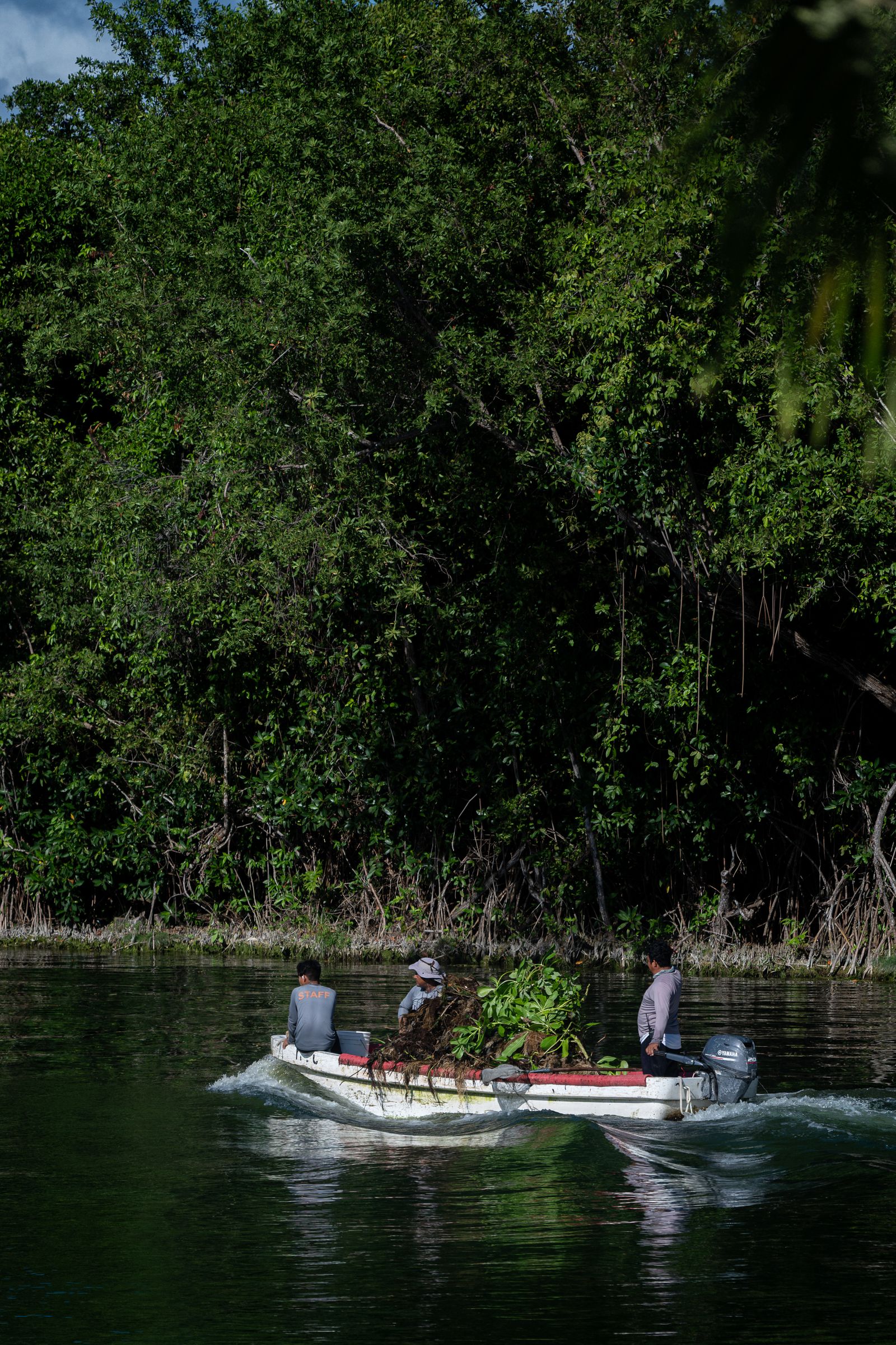 A small boat navigating a mangrove channel in the Sian Ka'an reserve near Muyil