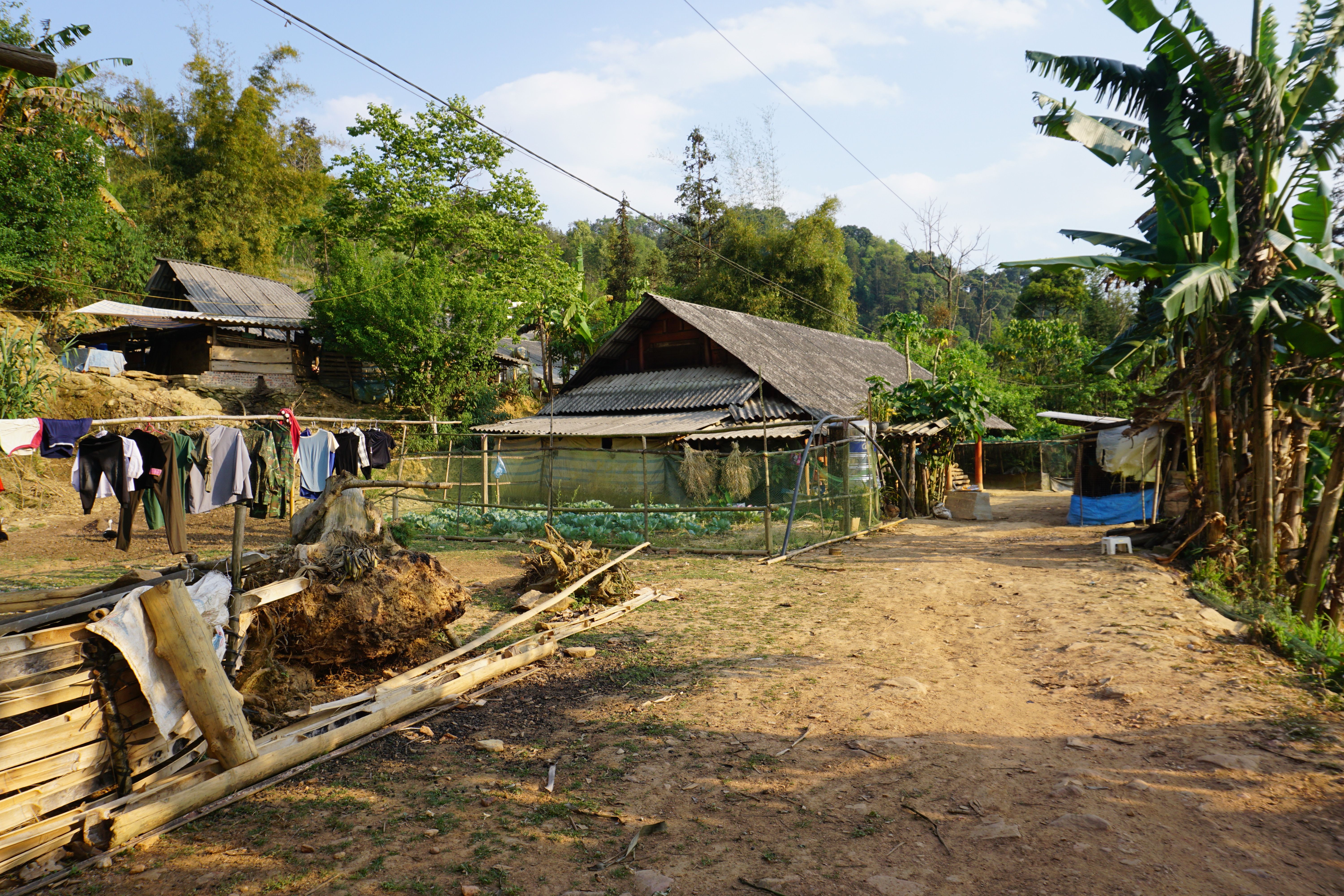 A glimpse of everyday rural life in Bac Ha, Vietnam with traditional houses.