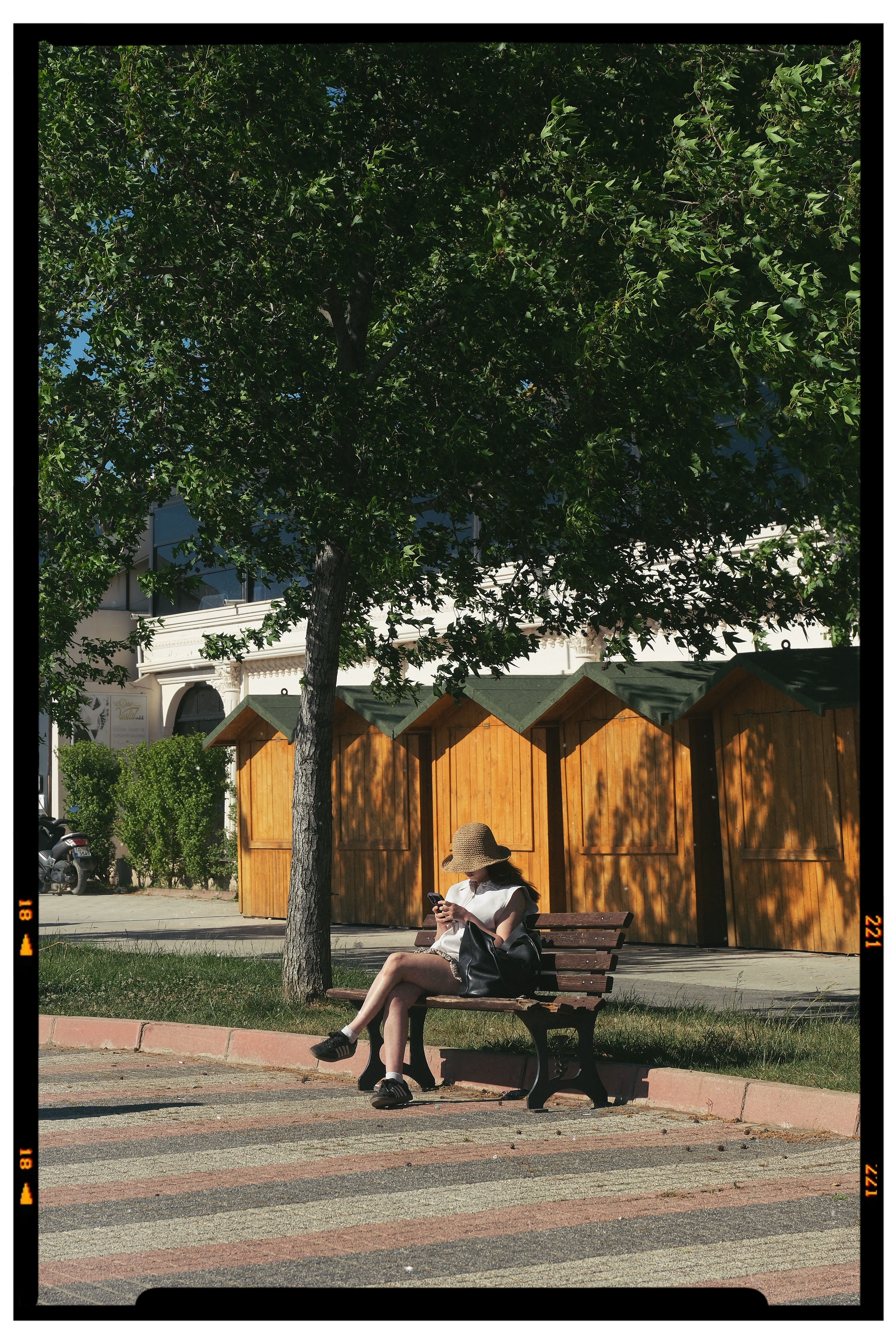 A woman reading on a park bench under a tree during a sunny day.