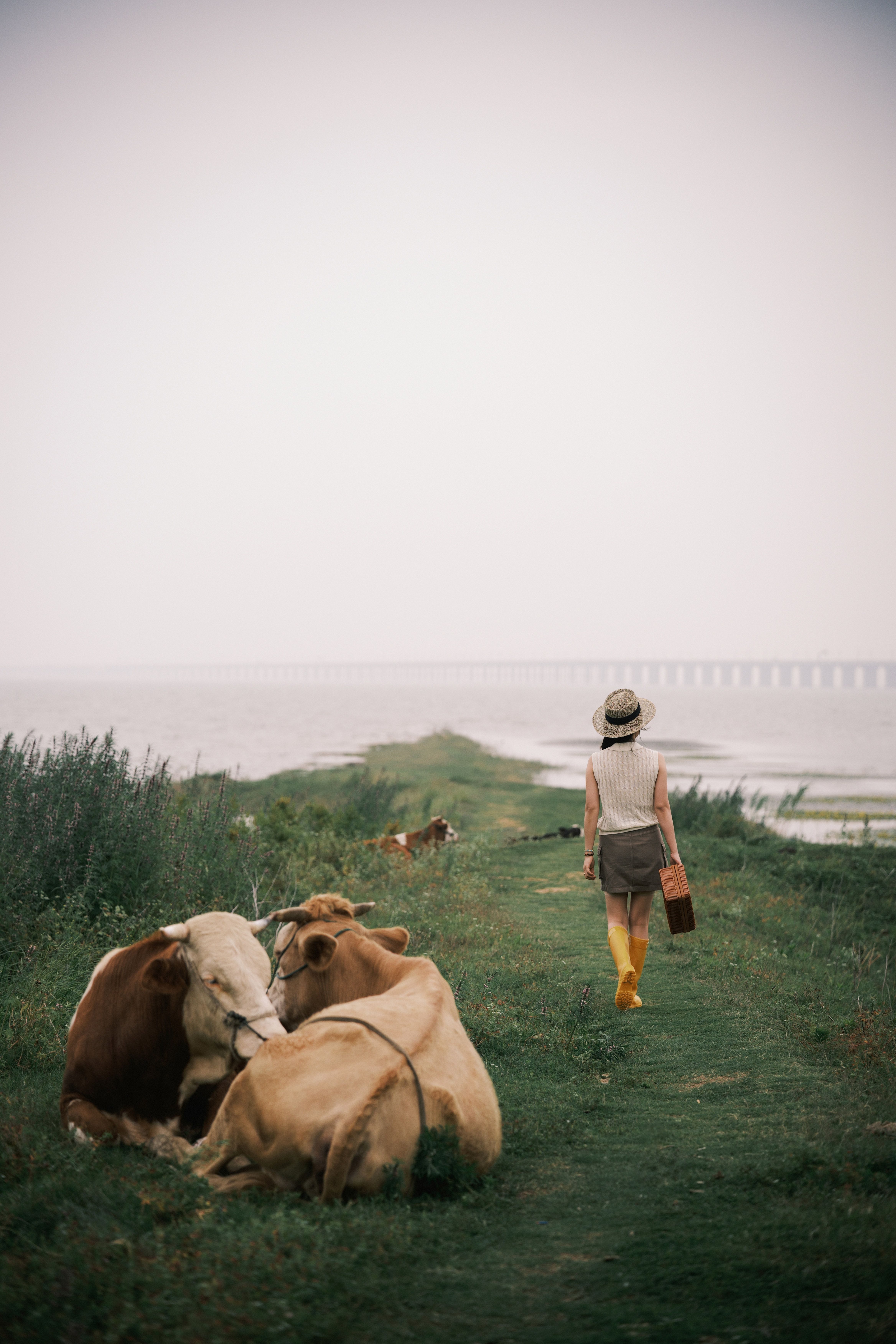A woman in yellow boots walks along a rural path with cows, near a misty shore.