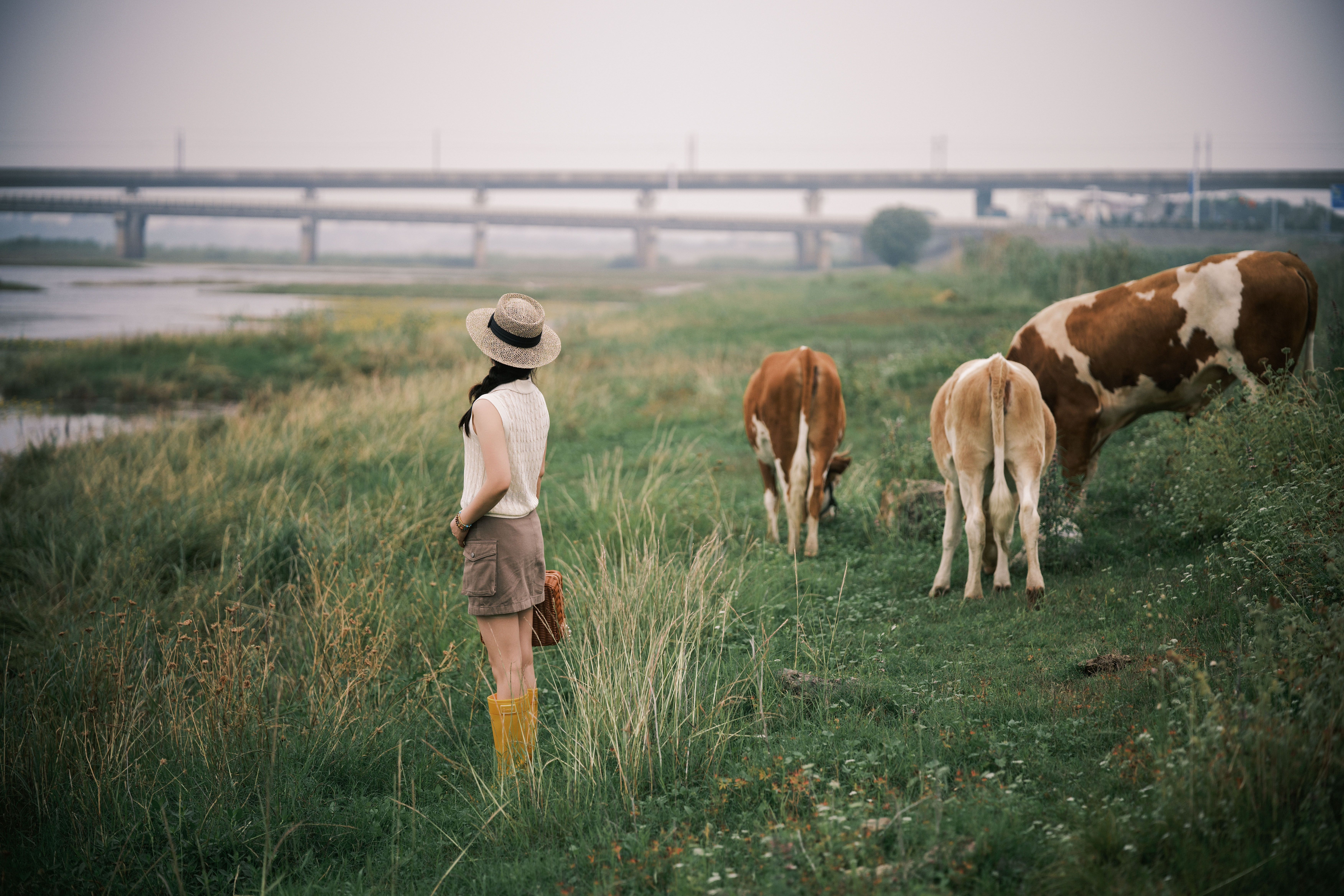 A woman in a hat watches cows grazing in a lush meadow near a bridge. Tranquil countryside scene.