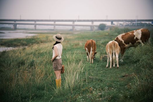 A woman in a hat watches cows grazing in a lush meadow near a bridge. Tranquil countryside scene.