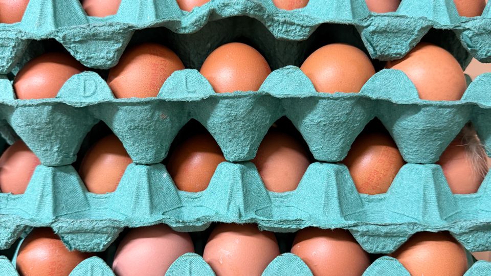 Cardboard trays of brown eggs at a market